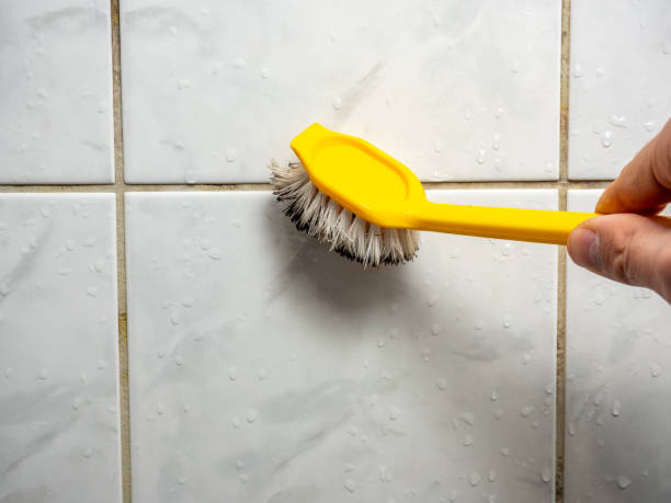 Best Emergency Mold Removal  in Lely Resort, FL