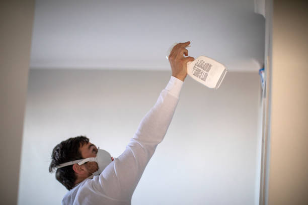 Best Attic Mold Removal  in Lely Resort, FL